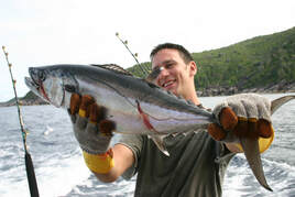 Catching a Dog Tooth Tuna fishing in Phuket Picture